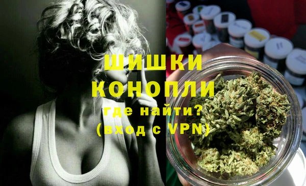 дурь Бородино
