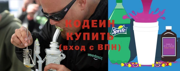 дурь Бородино