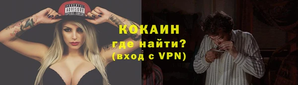 дурь Бородино